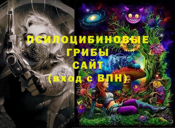 дмт Богородицк