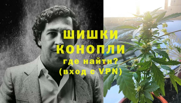 ПСИЛОЦИБИНОВЫЕ ГРИБЫ Белоозёрский