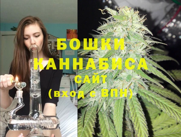 дмт Богородицк
