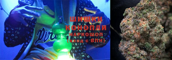 ПСИЛОЦИБИНОВЫЕ ГРИБЫ Белоозёрский