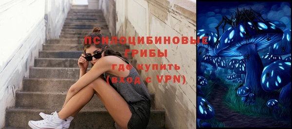 ешки Семёнов