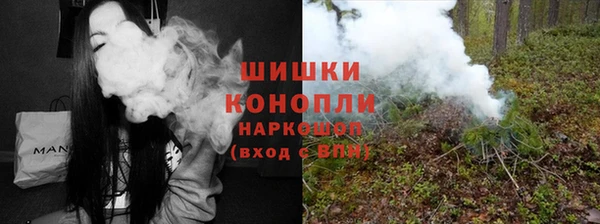 дмт Богородицк