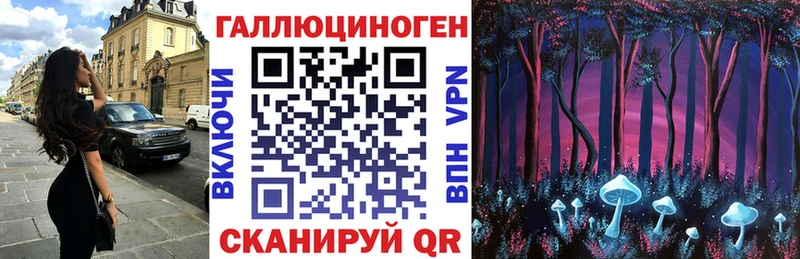 Галлюциногенные грибы Cubensis  цены наркотик  Оха 